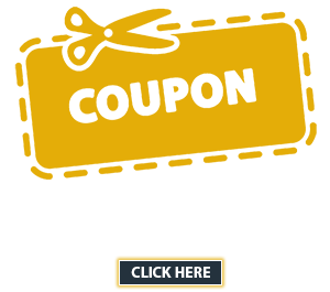 Ally Garage Door Offer img